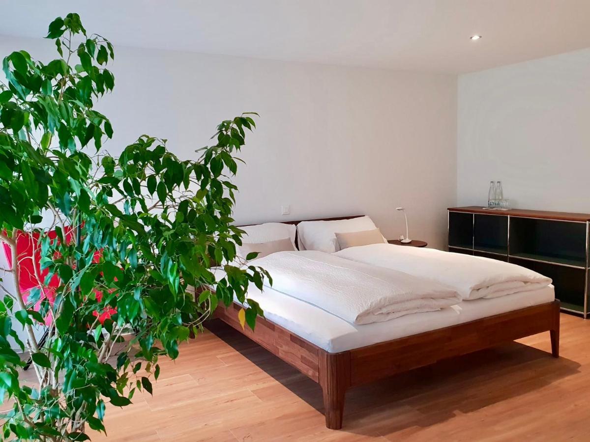 Ringmauer Hotel Murten Luaran gambar