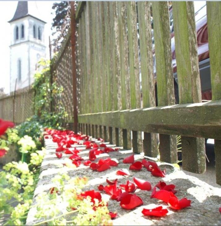 Ringmauer Hotel Murten Luaran gambar